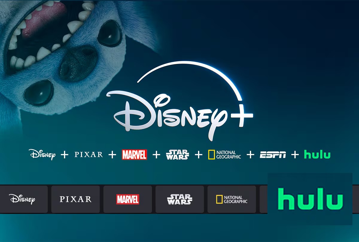 DISNEY PREMIUM HULU - PERFILES